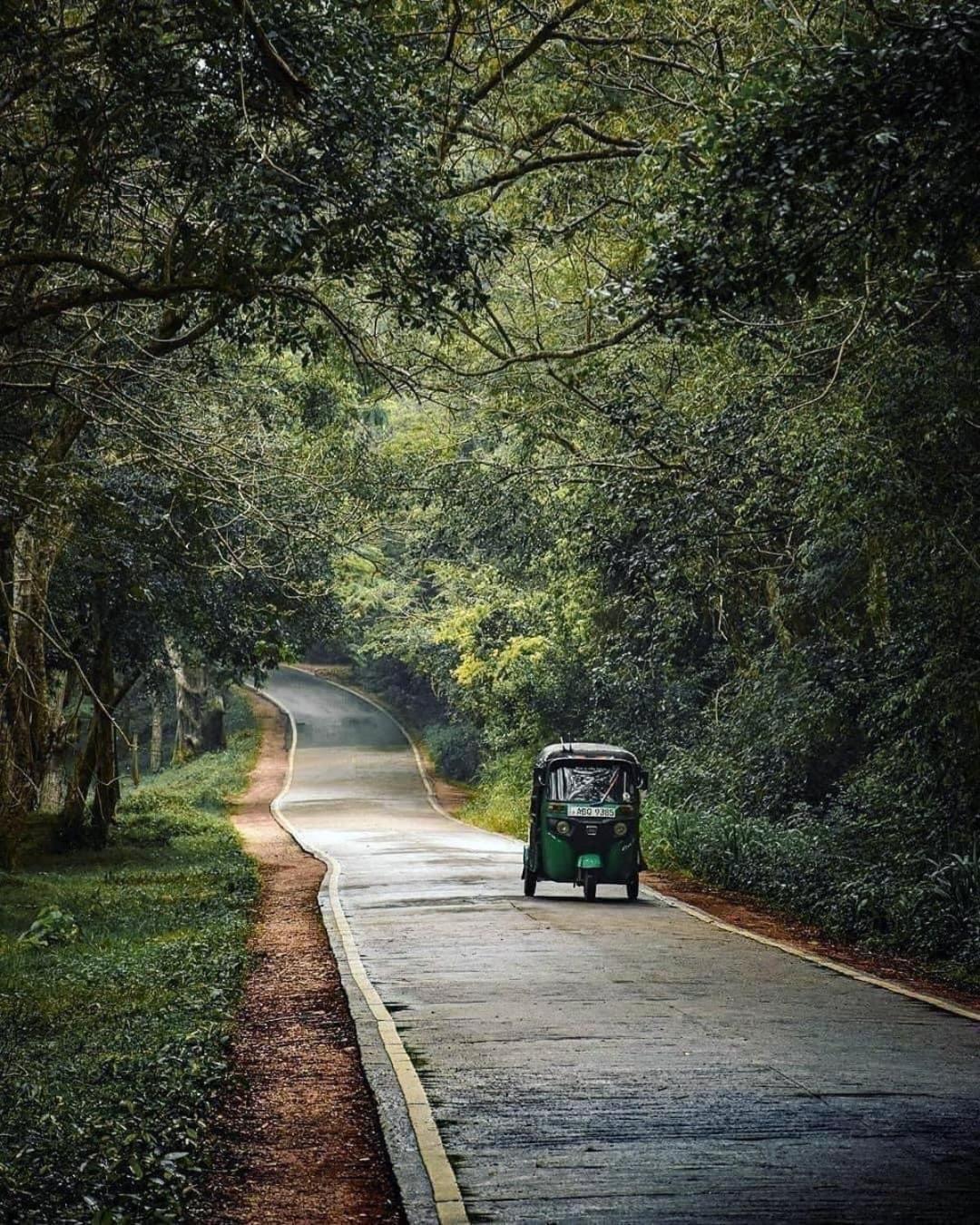 Sigiriya Village Home Stay 외부 사진