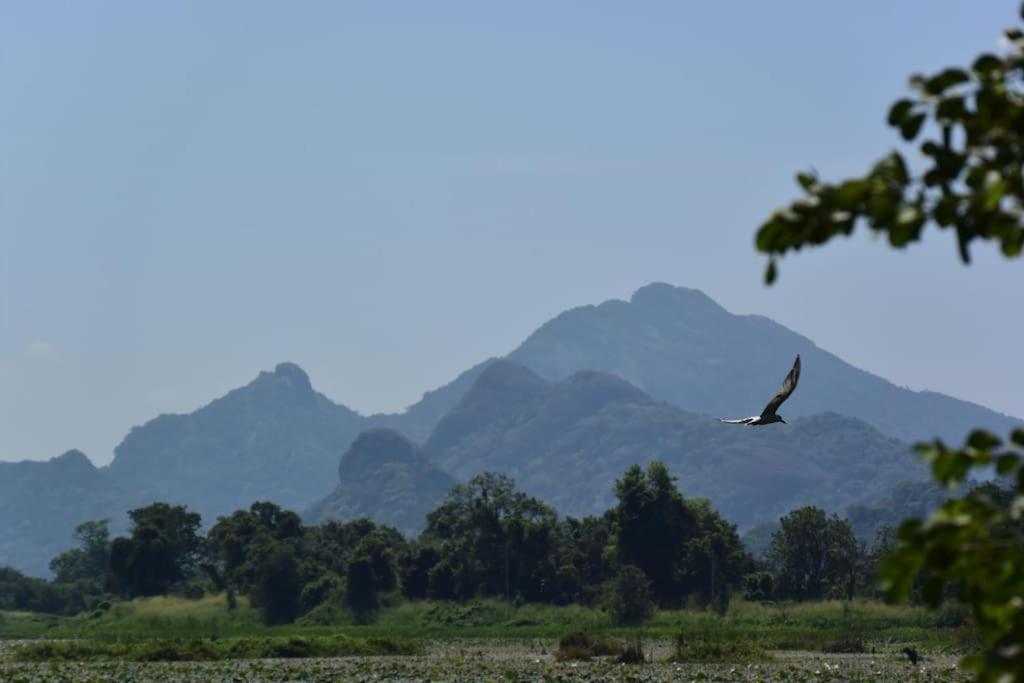 Sigiriya Village Home Stay 외부 사진