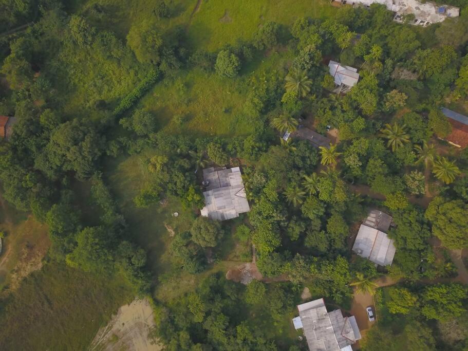 Sigiriya Village Home Stay 외부 사진